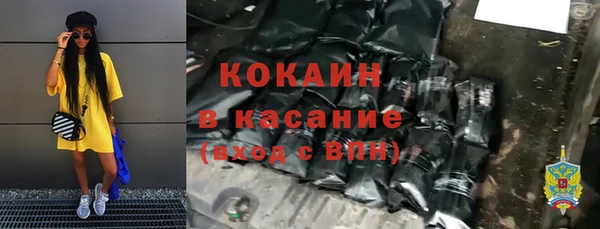шишки Аркадак