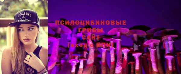 шишки Аркадак