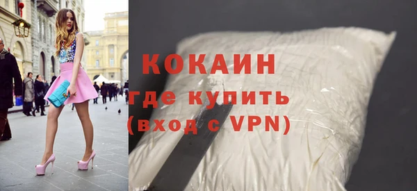 шишки Аркадак