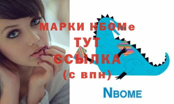 шишки Аркадак