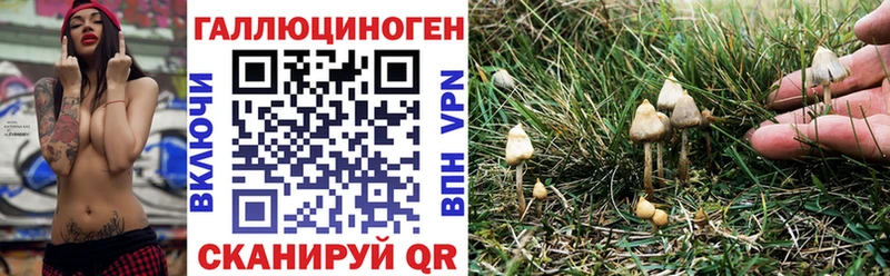 дарнет шоп  Острогожск  Псилоцибиновые грибы ЛСД 